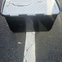 Assorted Christmas Lights