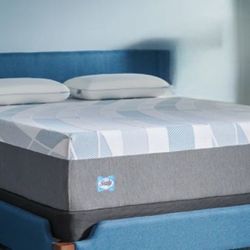 Sealy Plush Foam Mattress 