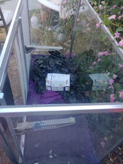 Free display case
