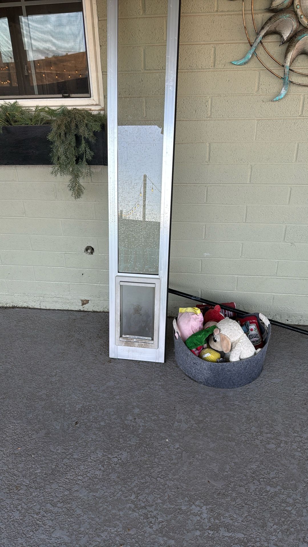 Dog Door