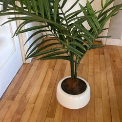 Faux Plant 