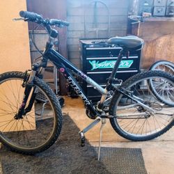 Trek 3900 Woman's Bicycle.