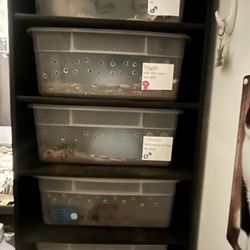 32 Qt Bin Reptile/ Snake Rack