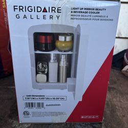 Mini Fridge With LED Mirror 