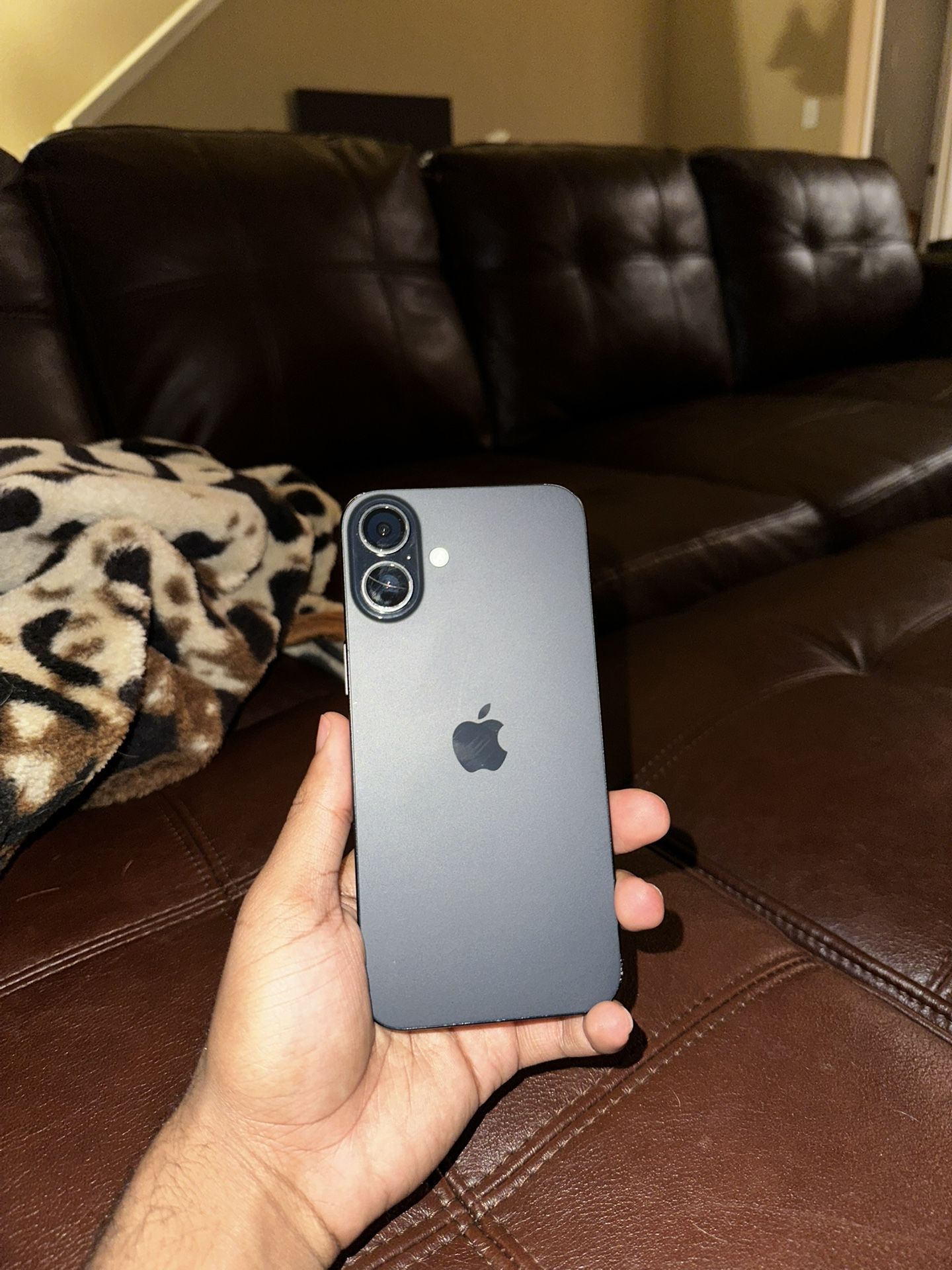 iPhone 16 Plus