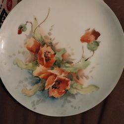 5 Beautiful Hand Painted Vintage Plates