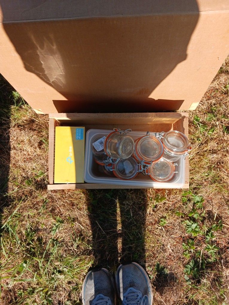 Jars And Ptp-link Desktop Switch