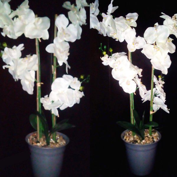 Two Fake Realistic Looking Orchid Plants In Pots Adjustable Stems New