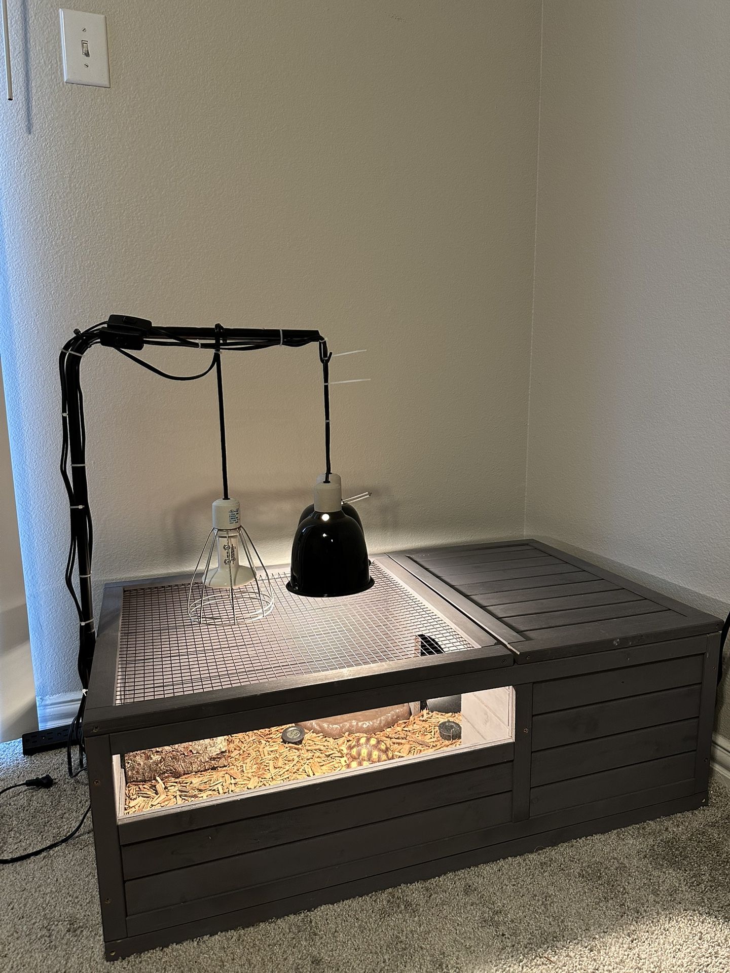 Moving Sale Reptile House
