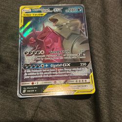 Tag Team MegaSableye & Tyranitar
