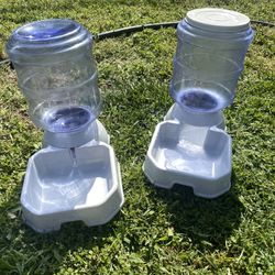 Dog Feeder And Water 