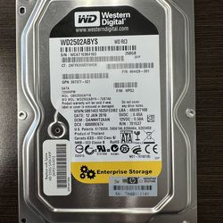 WD2502ABYS Western Digital RE3 250GB 7200RPM