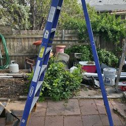 Werner 8ft Ladder