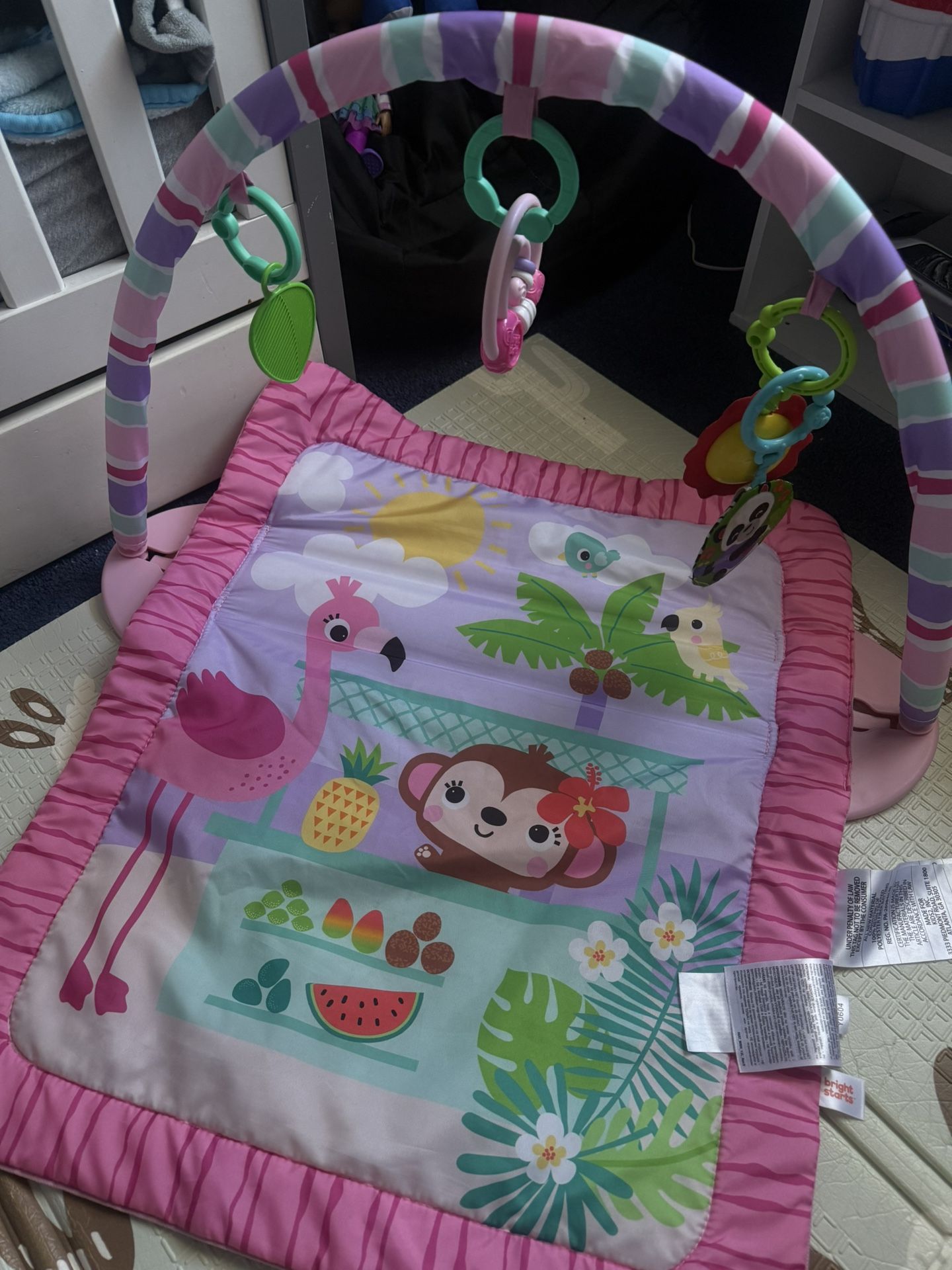 Baby Play Gym Mat
