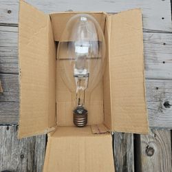 Bulb