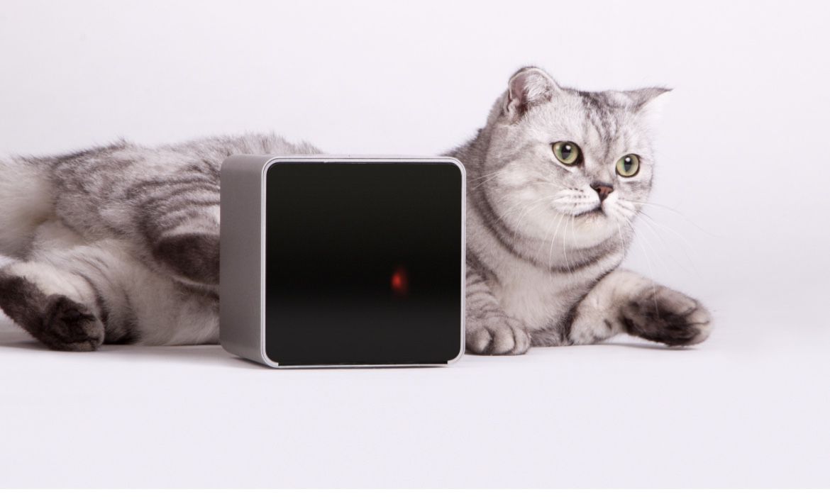 Petcube Play Pet Camera with Interactive Laser Toy. Monitor Your Pet Remotely