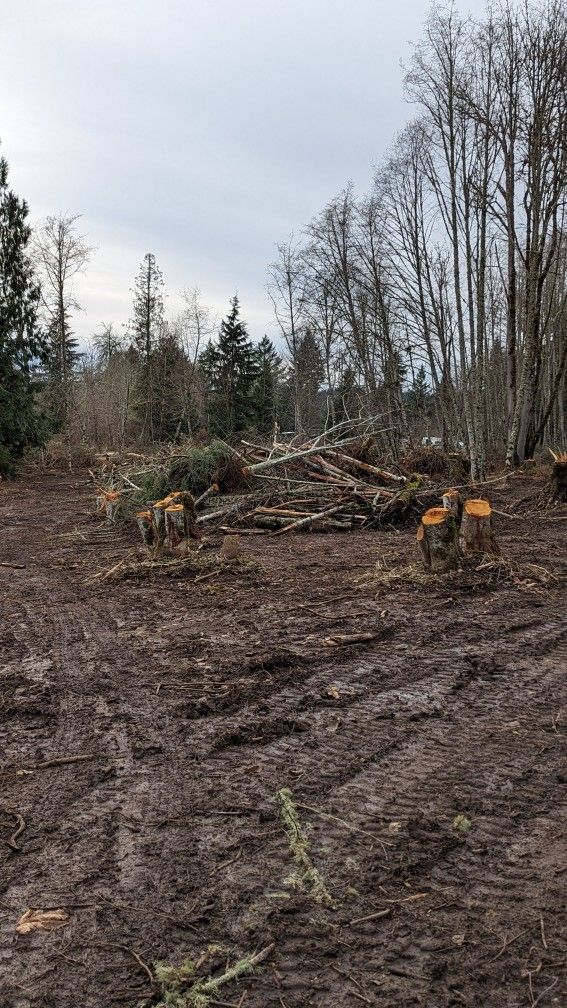 Land Clearing.Small Logging Jobs