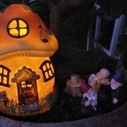 Naughty Gnome Garden