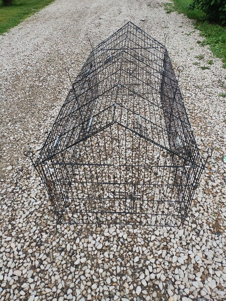 6ft X 30" Wide And 30" Tall Cage MARTINSVILLE