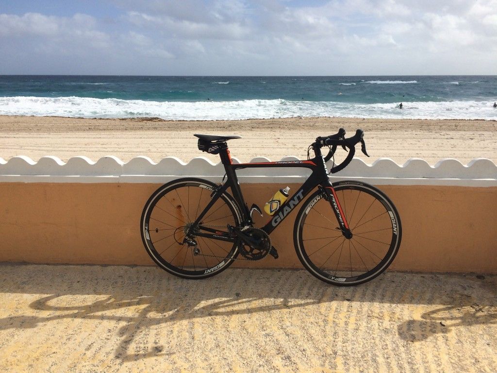 Giant Carbon Frame Bike