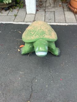 Concrete turtle