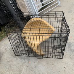 Dog Case $10