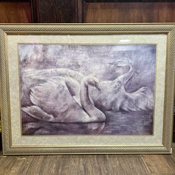 Swans  framed