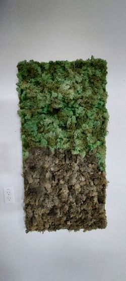 Live Moss Art