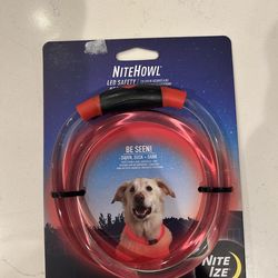 New LED collar for dogs