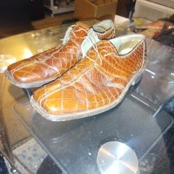 Mauri Gators