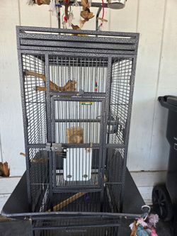 Bird cage
