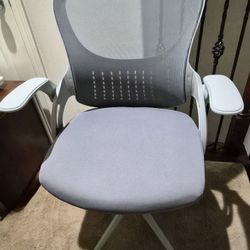 Ergonomic Office Chair