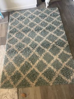 Living room rug 4’ x 6’