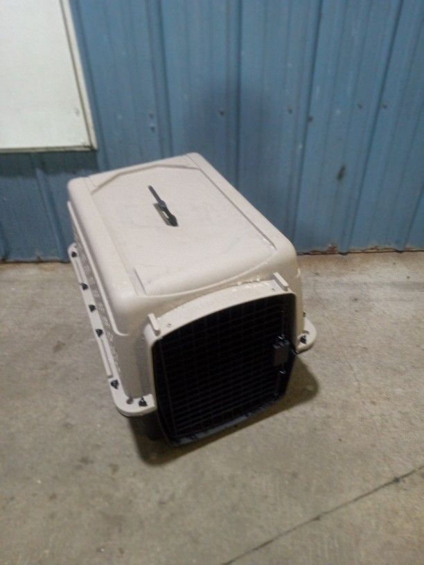 Medium Size Pet Carrier In Good Used Condition