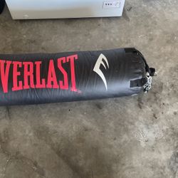 Punching Bag