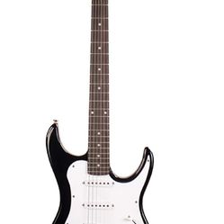 Black And White Electric Guitar 