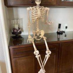 5 Feet Skeleton