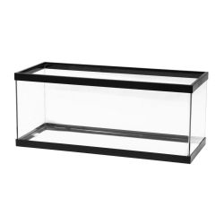 20 gal long tank