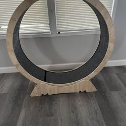 XL Cat Exercises Wheel 