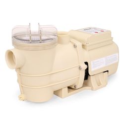 Pump Pool 115v