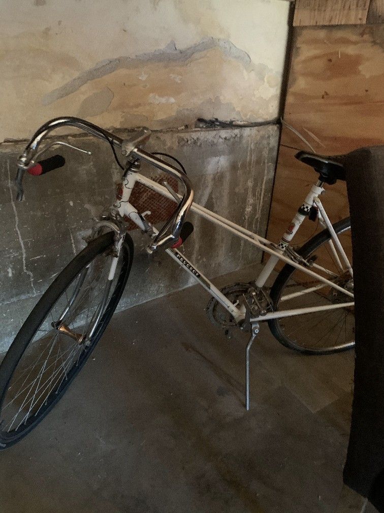 Fixie For Sale