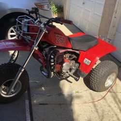 1982 250 R Honda. Clean Title And Current Registration. If This Add Is Up It Is Still Available.