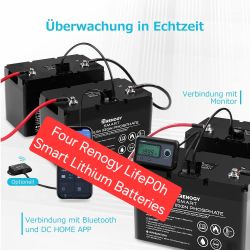 Four Renogy LifeP0h Emart Lithium Batteries 12V 100Ah Smart Lithium Iron Phosphate Battery LOT.. (4 batteries). - an Industry  Standard Van RV Life So