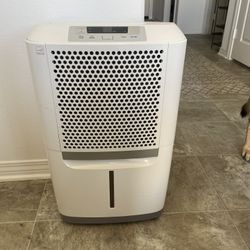 Dehumidifier 