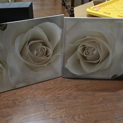 White Rose Canvas Frames