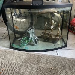 35 Gallon Fish Tank