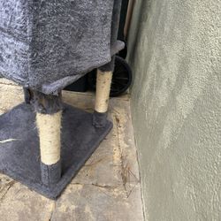 Cat house