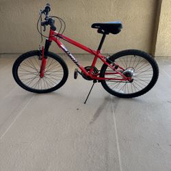 Boy/Girl Bike 