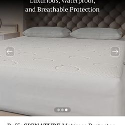 Queen-size mattress, 2 pillows, and a mattress protector Around 2 In, In excellent condition.