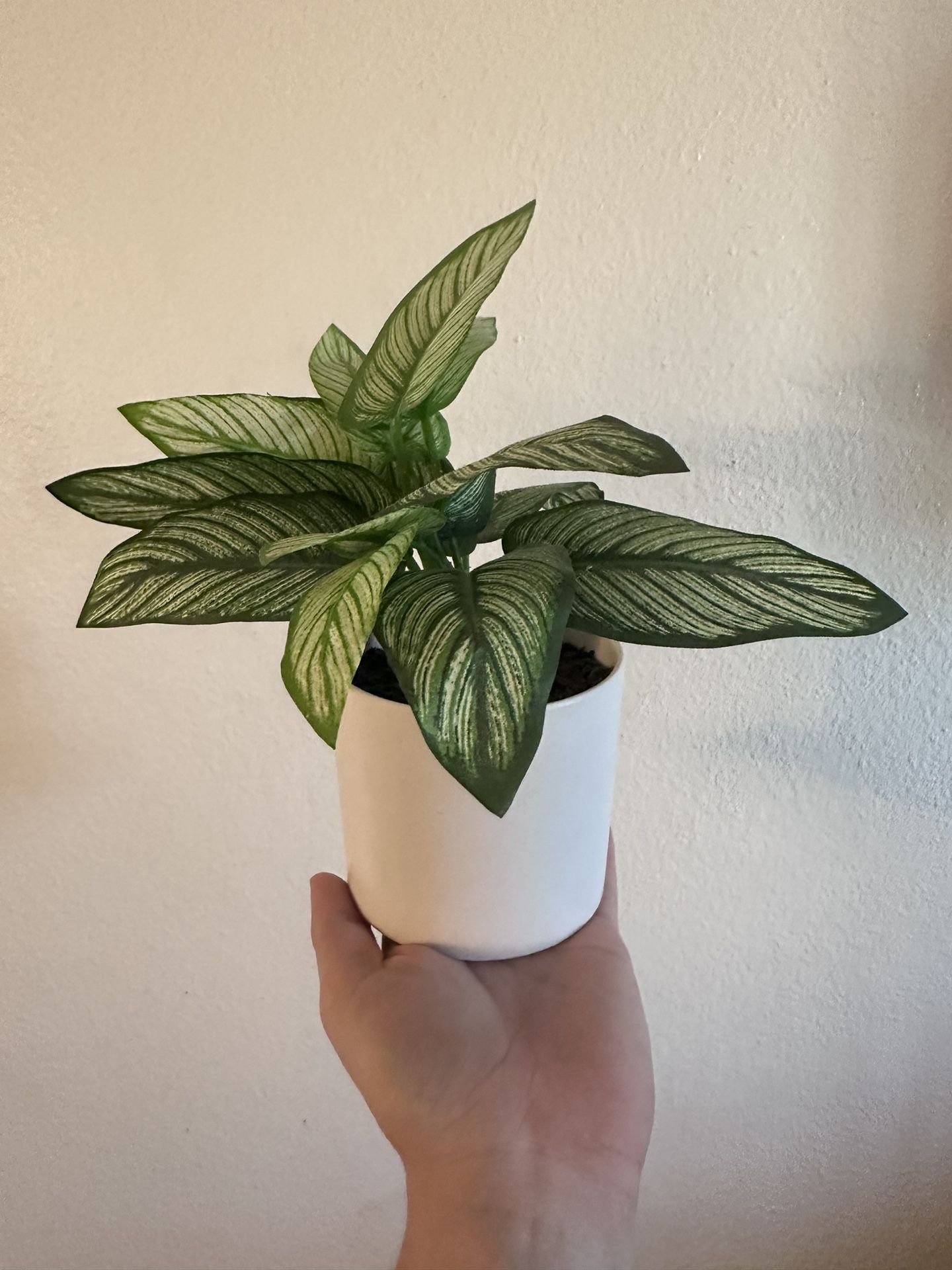 Fake Plant $10 OBO